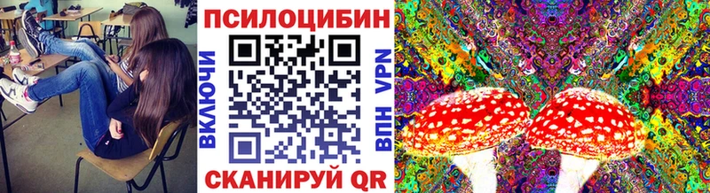 купить наркоту  Александров  Псилоцибиновые грибы ЛСД 
