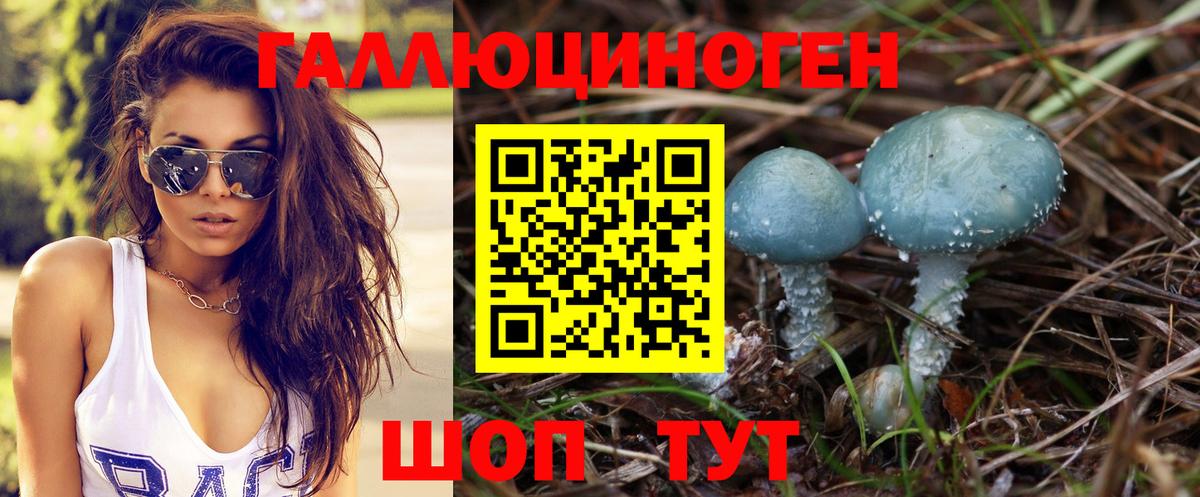 Псилоцибиновые грибы Cubensis  Вход с VPN  Александров  Псилоцибиновые грибы Cubensis 